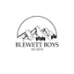 Logo Design